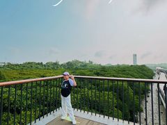 -东寨港红树林旅游区