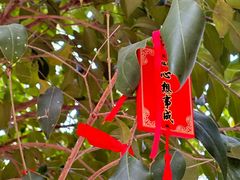 -宝通禅寺