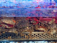 -芭菲盛宴·环球美食(北城国际店)