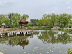 -稻香湖公园