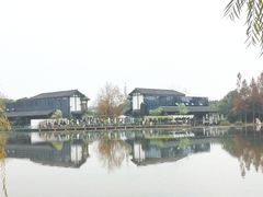 -白鹭湾湿地公园