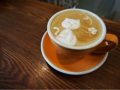 拿铁-海边的猫和咖啡馆