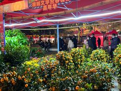 -文华公园(禅城区)