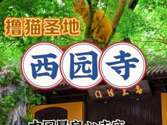 -西园戒幢律寺