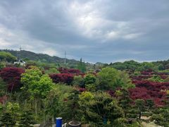 -溪口-滕头旅游景区