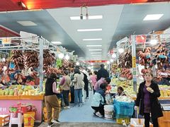 -大湾区中央湿地公园-十九涌