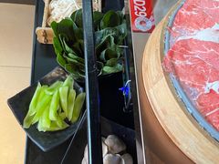 -辣伍鲜毛肚老火锅(元一店)
