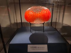 -四川大学博物馆