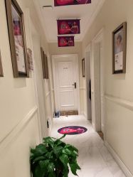 -静博士·养生养颜