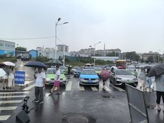 -小麦岛公园