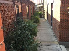 -晋江五店市传统文化旅游区