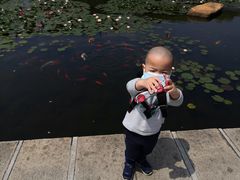 -白马涧龙池景区