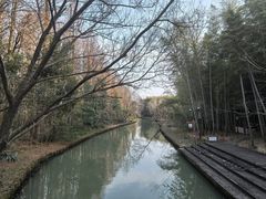 -同里国家湿地公园