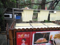 -大鹅岛绿色生态美食园
