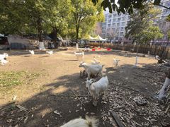 -杭州师范大学(下沙校区)