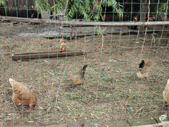 -丁村民俗博物馆