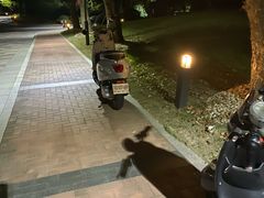-苏州金鸡湖大酒店