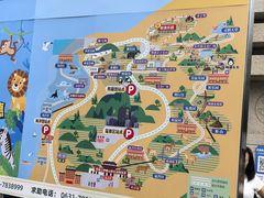 -西霞口神雕山野生动物世界