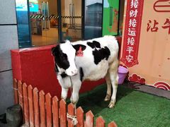 -绿色星球动物主题公园