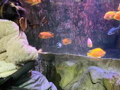 -多彩贵州城极地海洋世界