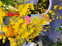 -花隐·美芙炫海菲秀皮肤管理中心