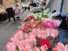 -循礼门鲜花花市(武汉循礼门店)