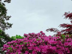 -庐山风景名胜区
