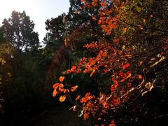 -香山公园