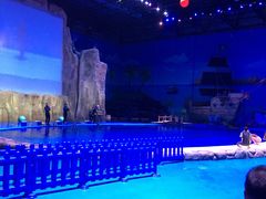 -华夏文旅海洋公园