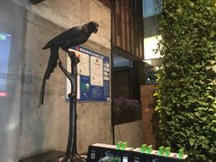 -外婆家(杭州马塍店·杭帮菜名店)