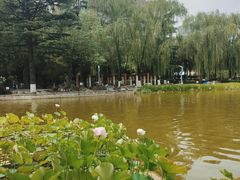 -西安市长乐公园