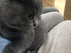 -宠颐生中康贝怡动物医院