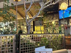 -桂满陇·海市蜃楼·黑金(国金店)