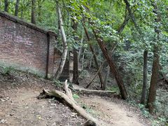 -紫金山山顶公园