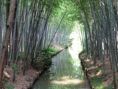 -同里国家湿地公园