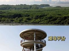-福田红树林生态公园