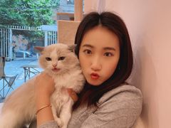 -猫咪派对(江南西店)