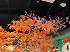 -荷塘秋月·本帮江浙菜(国权路店)