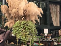 -出走咖啡·面包(宋庄店)