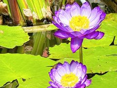 -国家植物园南园