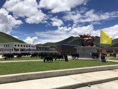 沿途美景-兔儿山