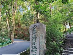 -南岳衡山风景名胜区