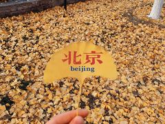 -中关村生命科学园