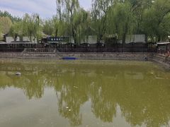 -尚庄度假村·庭台树下·户外烧烤·团建CS·轰趴营地(上庄水库店)