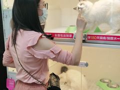 -lincat·猫舍(广州店)