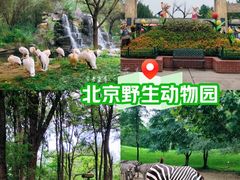 -北京野生动物园