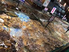 -森谷美食公园(杨行店)