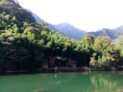 -祁门牯牛降观音堂风景区