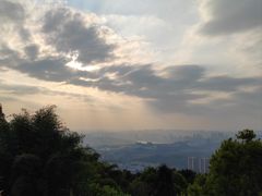 -铁山坪森林公园