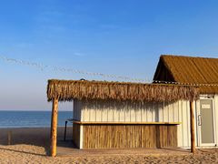 -巧克力渔家.小船海鲜家常菜(万平口店)